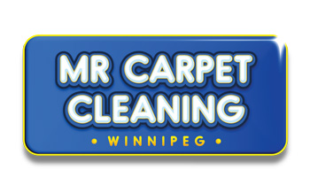 MR CARPET CLEANING
